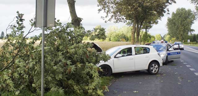 Opel uderzył w drzewo, aż się złamało
