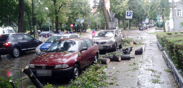 Zniszczony samochód, połamane drzewa [video]
